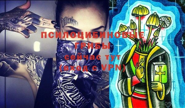 a pvp Пестово