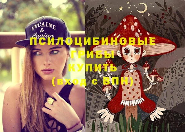 apvp Осташков
