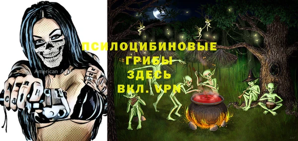 a pvp Пестово