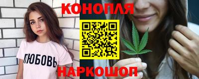 стаф Берёзовский