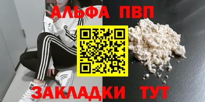 стаф Берёзовский