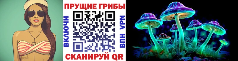 где найти наркотики  Сафоново  Псилоцибиновые грибы Psilocybine cubensis 