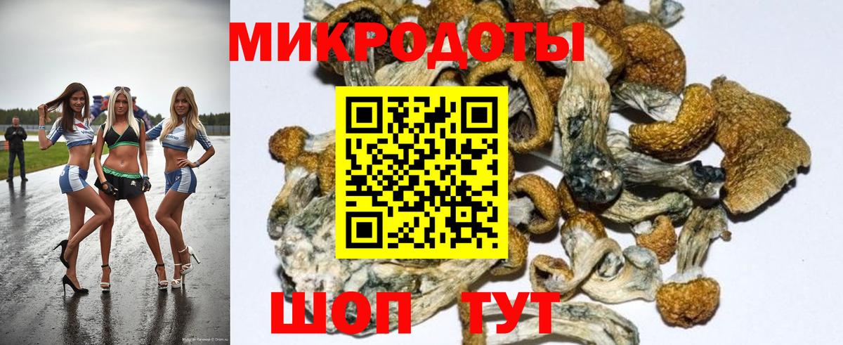 Галлюциногенные грибы Psilocybe  Вход с VPN  Сафоново  Псилоцибиновые грибы Psilocybine cubensis 
